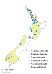 Cardamine pratensis distribution map based on databased records at AK, CHR, OTA & WELT.
 Image: K.Boardman © Landcare Research 2018 CC BY 4.0